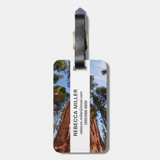 Riesenspinner Gepäckanhänger (Rückseite vertikal)