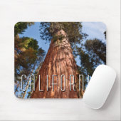 Riesenspinner Mousepad (Mit Mouse)