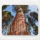 Riesenspinner Mousepad (Vorne)