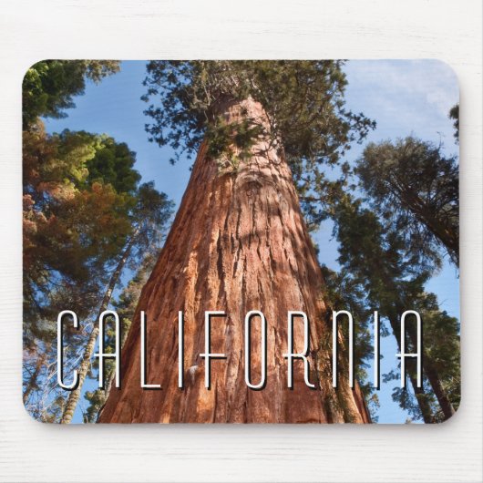 Riesenspinner Mousepad (Vorne)