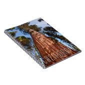 Riesenspinner Notizblock (Rechte Seite)