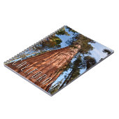 Riesenspinner Notizblock (Linke Seite)