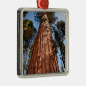 Riesenspinner Ornament Aus Metall (Rechts)