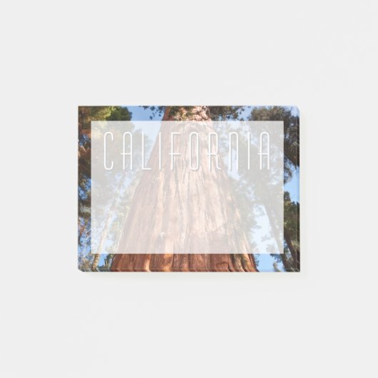 Riesenspinner Post-it Klebezettel (Vorderseite)