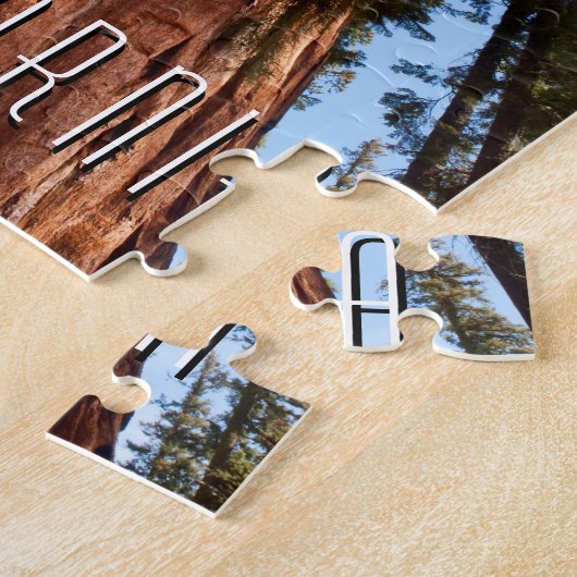 Riesenspinner Puzzle (Seite)