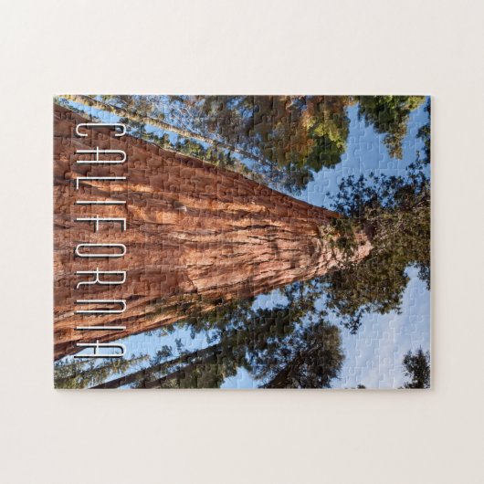 Riesenspinner Puzzle (Horizontal)