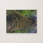 Riesenspruce, Cape Perpetua, Oregon Puzzle (Horizontal)