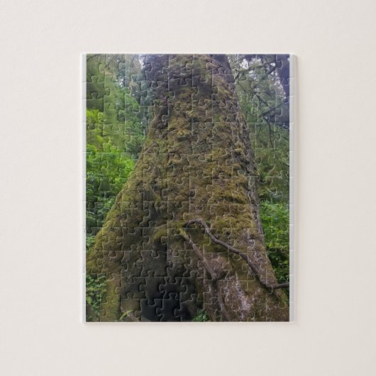 Riesenspruce, Cape Perpetua, Oregon Puzzle (Vertikal)