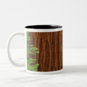 Riesenstämme aus Sequoia im Wald, Yosemite Zweifarbige Tasse (Links)