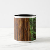 Riesenstämme aus Sequoia im Wald, Yosemite Zweifarbige Tasse (Mittel)