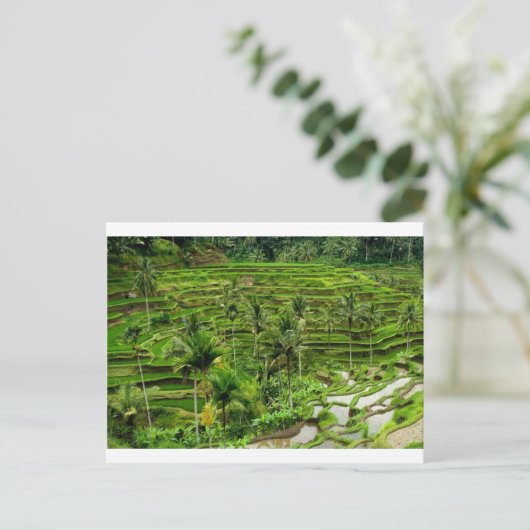 Riesenterrasse in Bali Postkarte (Stehend Vorderseite)