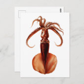 RiesenTintenfisch Postkarte (Vorne/Hinten)