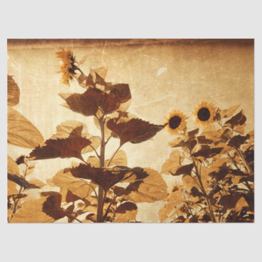 RiesenVintage Sonnenblumen Sepia Seidenpapier (Vorderseite)