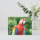 Riesenvogel Postkarte (Stehend Vorderseite)