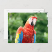 Riesenvogel Postkarte (Vorne/Hinten)