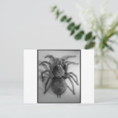 Riesenvogel-Spinne Postkarte (Stehend Vorderseite)