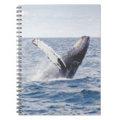 Riesenwal springt aus dem Meer Notizblock (Vorderseite)