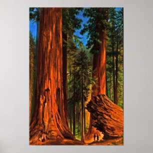 Riesenwald Bäume Yosemite Tal Cali Poster