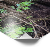 Riesenwald Nadelbaum Natur Fotodruck (Ecke)