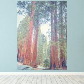 Riesenwald Sequoia Leinwanddruck (Insitu (Holzboden))