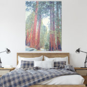 Riesenwald Sequoia Leinwanddruck (Insitu (Schlafzimmer))
