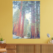 Riesenwald Sequoia Leinwanddruck (Insitu (Wohnzimmer))