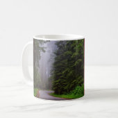 Riesenwaldbäume, Winding Road, Nationalpark Kaffeetasse (Vorderseite Links)