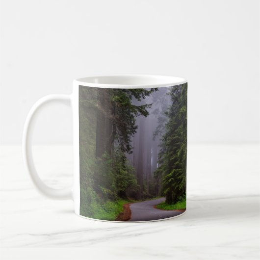 Riesenwaldbäume, Winding Road, Nationalpark Kaffeetasse (Links)