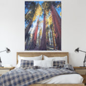 Riesenwaldlandschaft Sequoia Bäume Leinwanddruck (Insitu (Schlafzimmer))