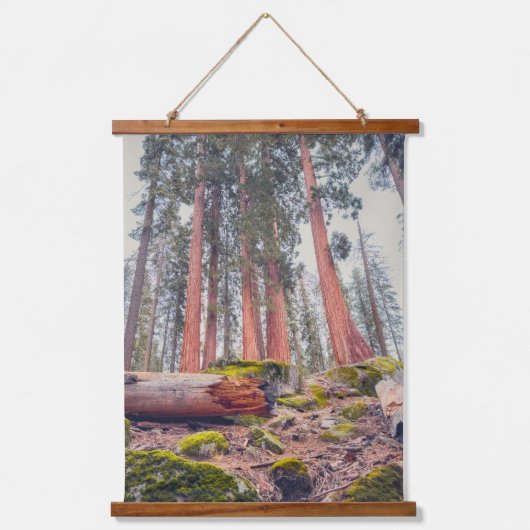 Riesenwaldlandschaft Sequoia Wandteppich Mit Holzrahmen (Vorderseite)