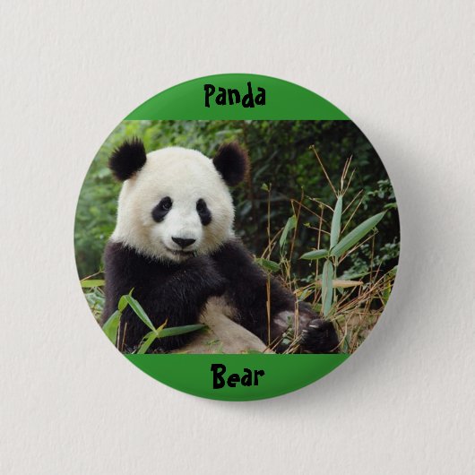 riesig-Panda-China-groß (1), Panda, Bär Button (Vorderseite)