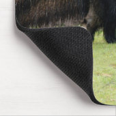 Riesige Ameise Eater8x10 Mousepad (Ecke)