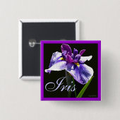 Riesige blaue lila Iris Button (Vorne & Hinten)