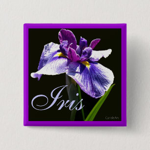 Riesige blaue lila Iris Button