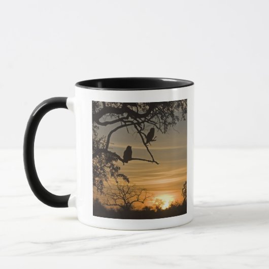 Riesige Eagle-Eulen (Bubo lacteus) silhouettiert Tasse (Links)