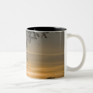Riesige Eagle-Eulen (Bubo lacteus) silhouettiert Zweifarbige Tasse
