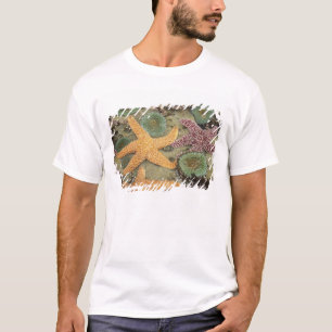 Riesige grüne Anemonen und ockergelbe Seesterne T-Shirt