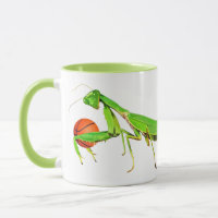 Riesige grüne betender Mantis-Basketball-Tasse