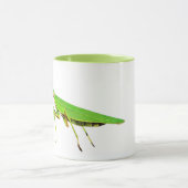 Riesige grüne betender Mantis-Basketball-Tasse Tasse (Zentrum)