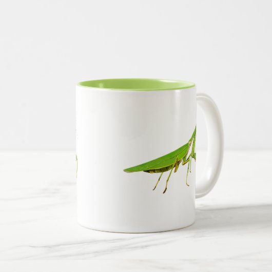 Riesige grüne betender Mantis-Tasse Zweifarbige Tasse (VorderseiteRechts)