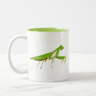 Riesige grüne betender Mantis-Tasse Zweifarbige Tasse