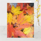 Riesige Gruß-Karte - Ahorn-Blätter Karte (Gelbe Blume)