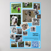 Riesige Hundehütte-Aktion Poster (Vorne)