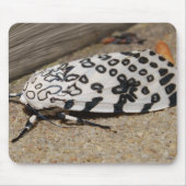 Riesige Leopard-Motte Mousepad (Vorne)
