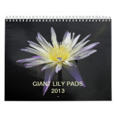 Riesige Lilien-Auflagen 2013 Kalender (Titelbild)