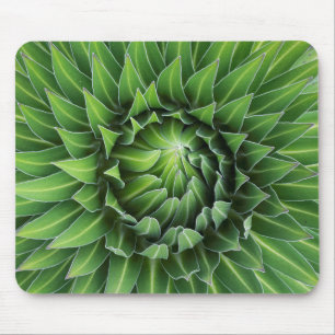 Riesige Lobelie Mount Kenya Nationalpark, Kenia Mousepad