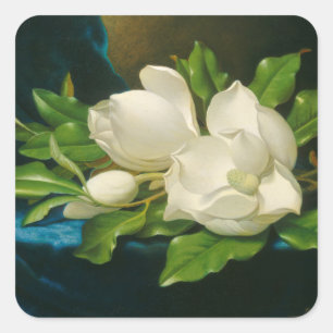 Riesige Magnolien auf einem blauen Samt-Stoff, Quadratischer Aufkleber