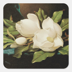 Riesige Magnolien auf einem blauen Samtstoff von M Quadratischer Aufkleber