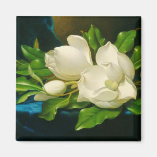 Riesige Magnolien auf einem blauen Samttuch (Heade Magnet