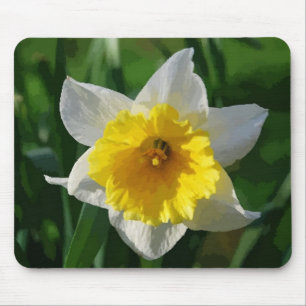 Riesige Narzisse Mousepad